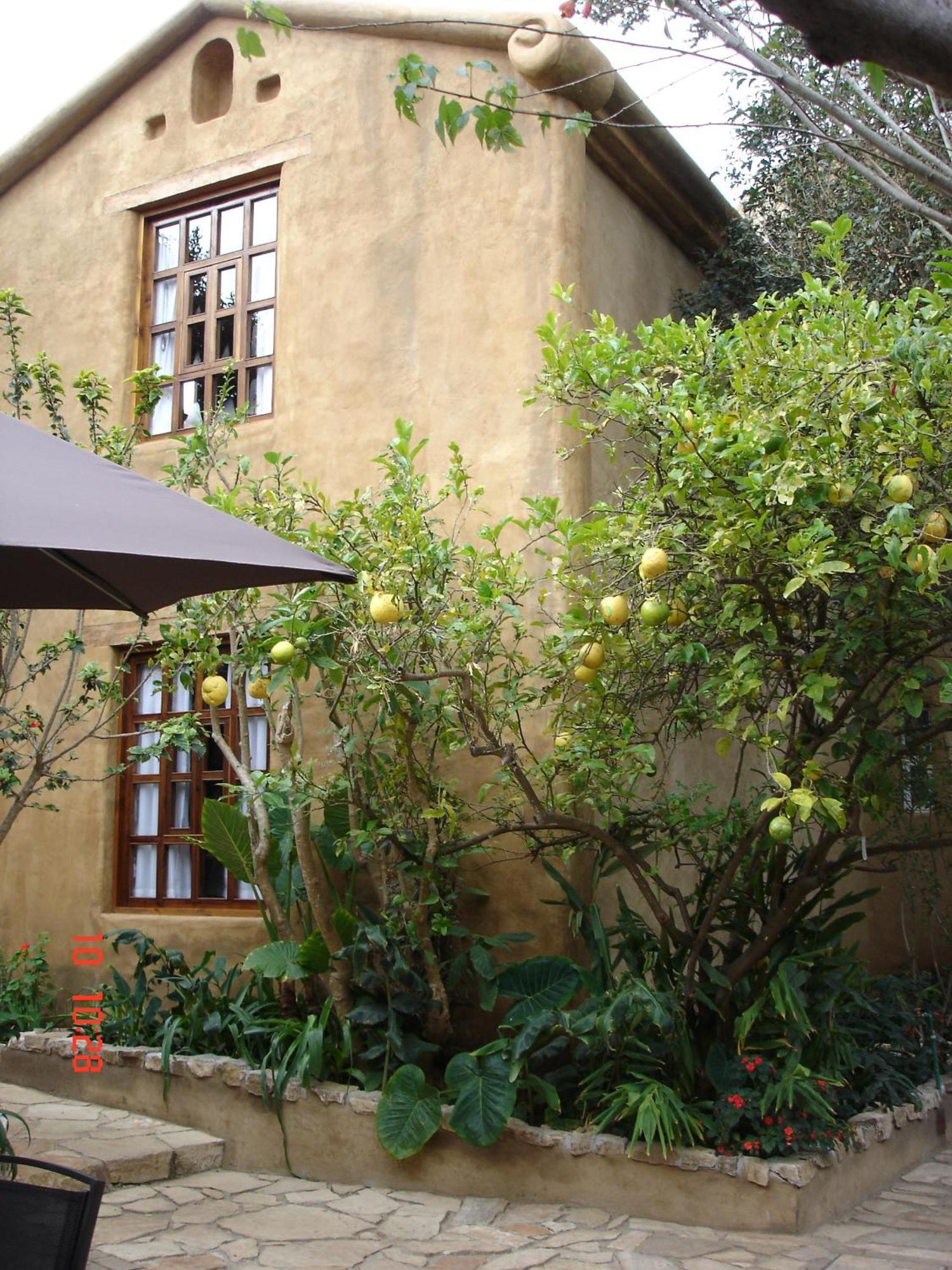 Guayaba Inn Boutique Hotel San Cristobal de las Casas Ngoại thất bức ảnh